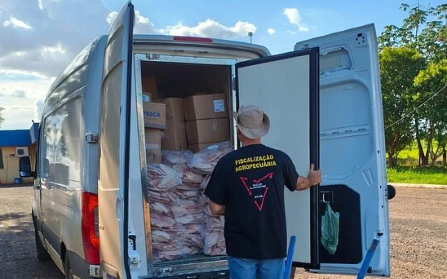 PRF apreende 1,3 tonelada de pescado clandestino em furgão na BR-163
