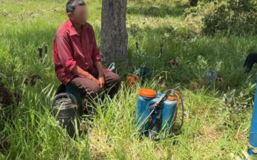 Trabalhadores são resgatados em situação análoga à escravidão no Pantanal