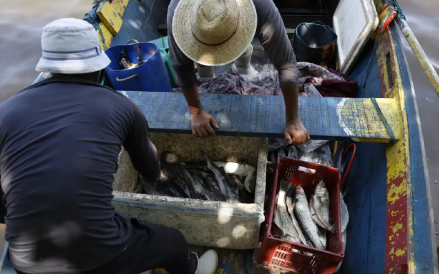 Pescadores beneficiados pelo Seguro-Defeso recebem 6&ordm; lote nesta terça
