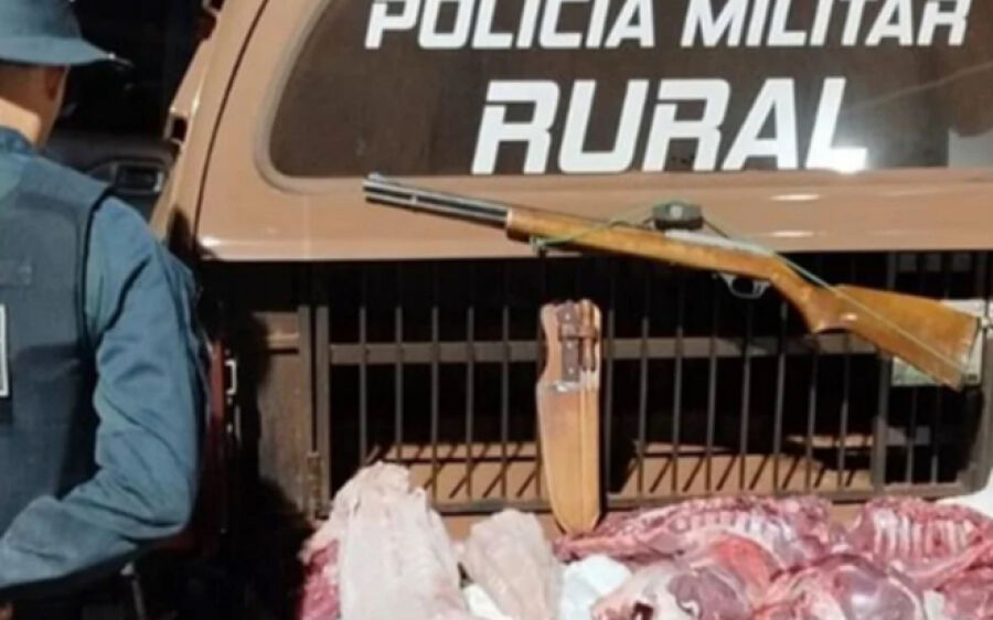 Homem é preso com carne de jacaré e javali, arma e munições na zona rural em MS