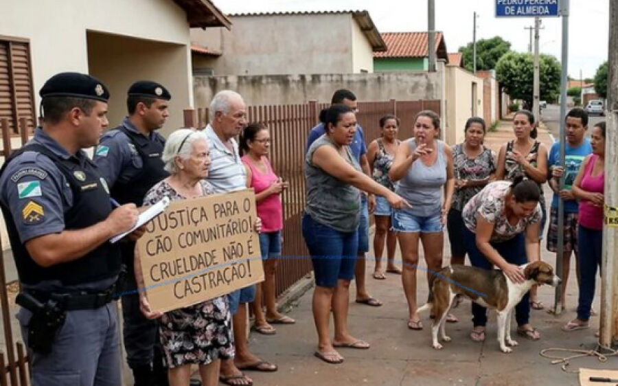 Homem amarra e castra cachorro com faca no meio da rua em MS