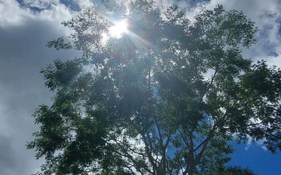 Calor e chance de chuva marcam o sábado (7) em Coxim