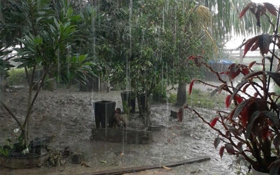 Prepare o guarda-chuva: quinta-feira (12) será de chuva durante todo o dia em Coxim