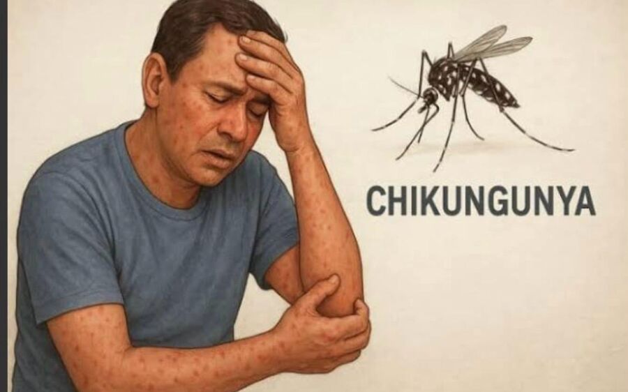Chikungunya avança em MS colocando Coxim em alerta 