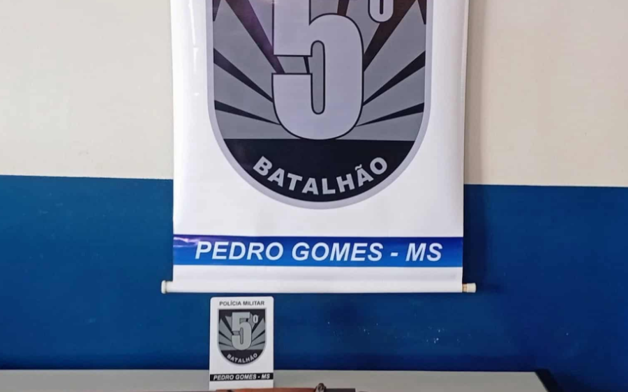 Homem é preso por furto e porte ilegal de arma após abater carneiro em Pedro Gomes
