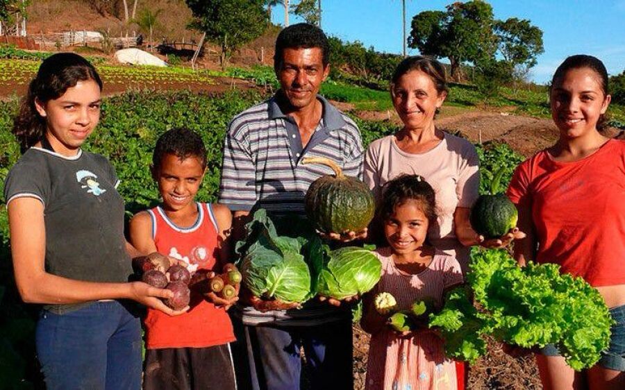 Governo lança edital de R$ 150 milhões para impulsionar inovação e sustentabilidade na agricultura 