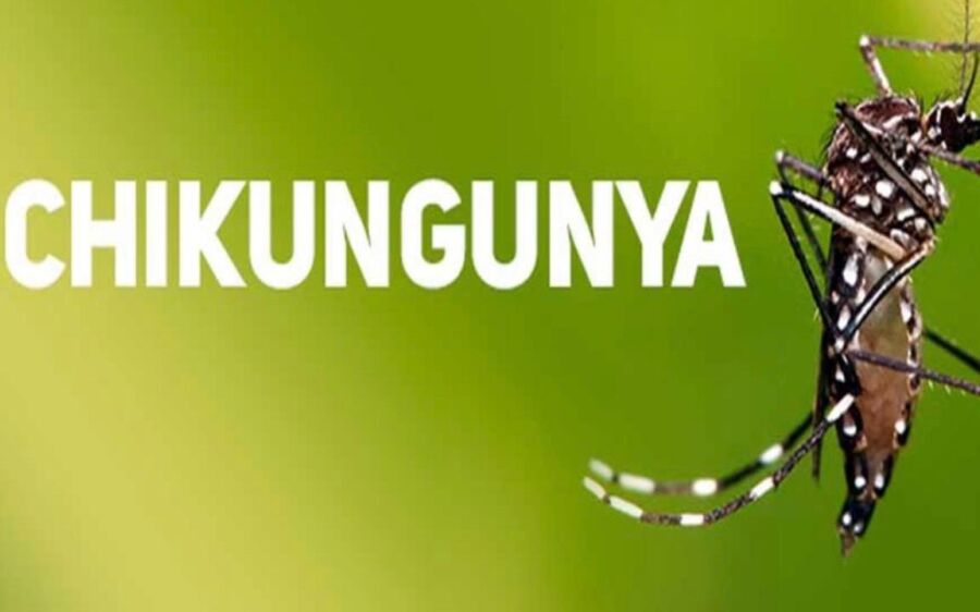 Mato Grosso do Sul concentra maioria das mortes por chikungunya no país 