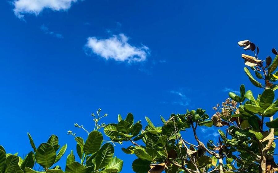 Calor intenso e tempo instável: sábado em Coxim terá sensação de abafamento e risco de chuva