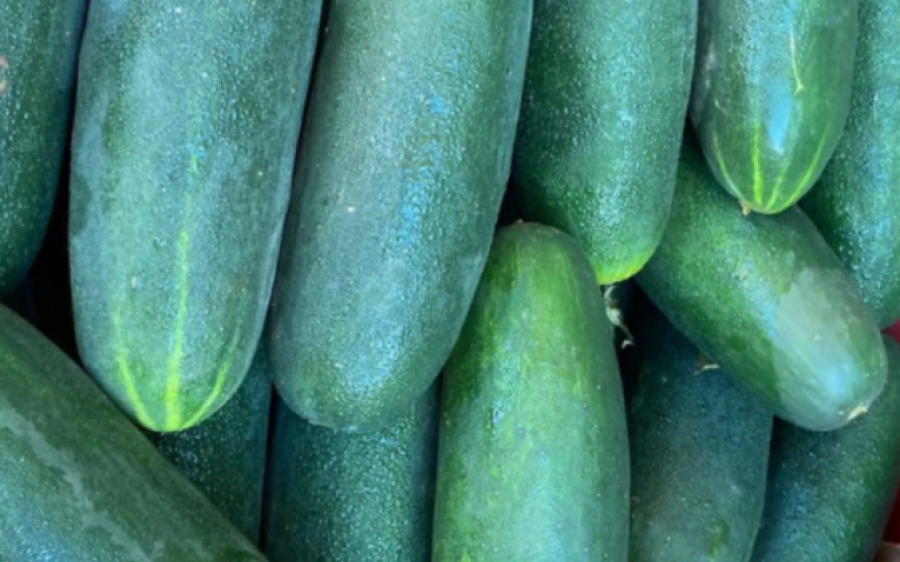 Chuvas intensas faz preço do pepino e pimentão verde subir em MS