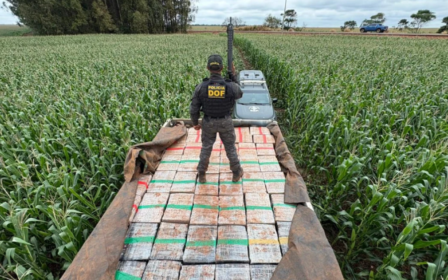 DOF apreende mais de 6 toneladas de maconha em caminhão durante perseguição em Dourados

