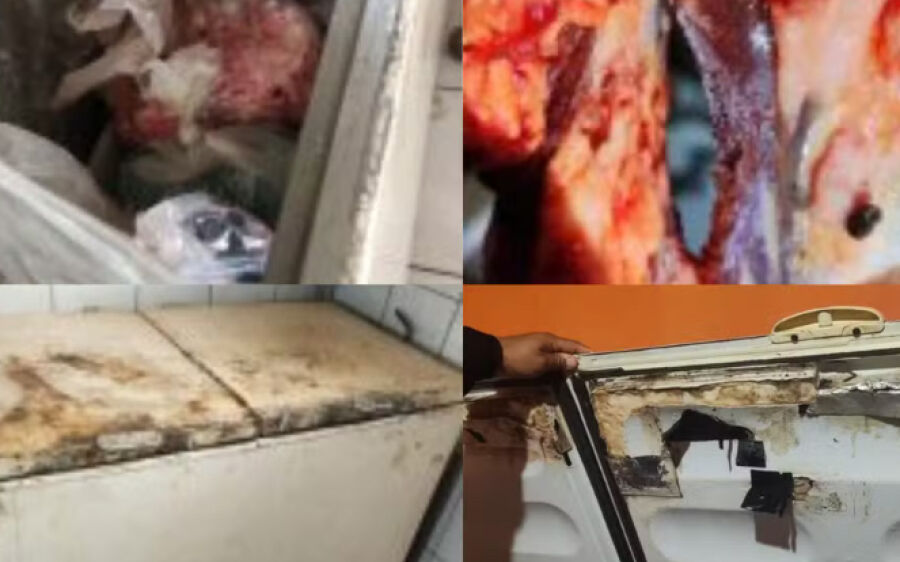 Quase 1 tonelada: fiscalização encontra carnes sem selo e risco de contaminação em comércio de MS