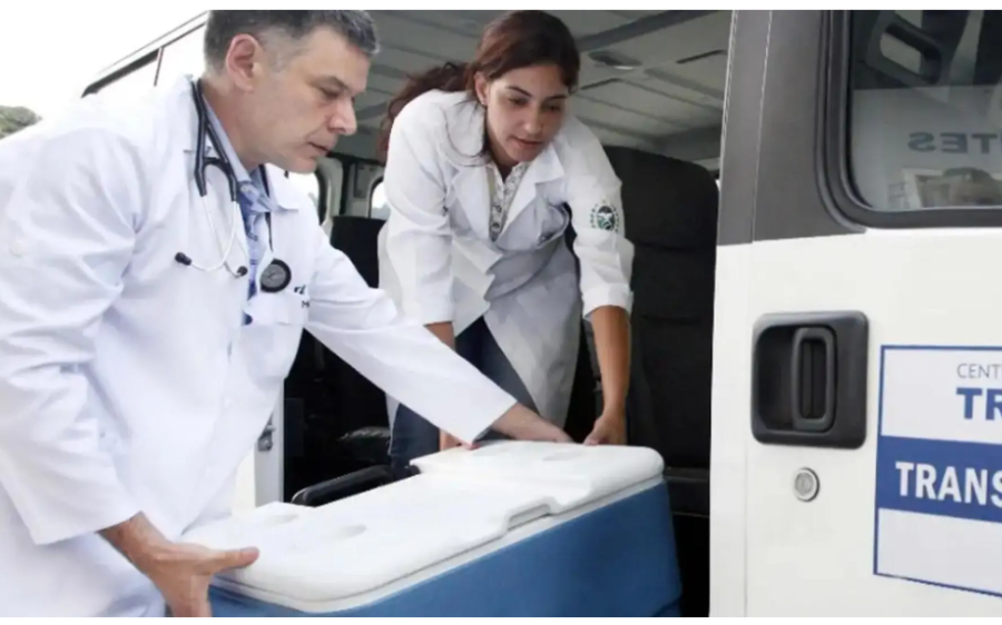 Brasil bate recorde de transplantes com 31 mil realizados em 2025