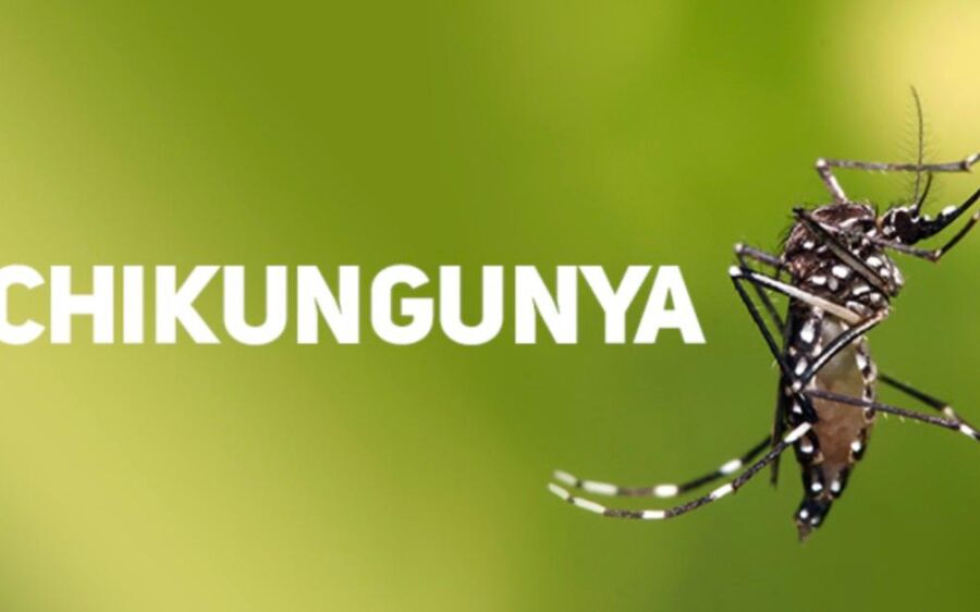 Chikungunya avança em Mato Grosso do Sul e 2026 já se aproxima do pior cenário da história