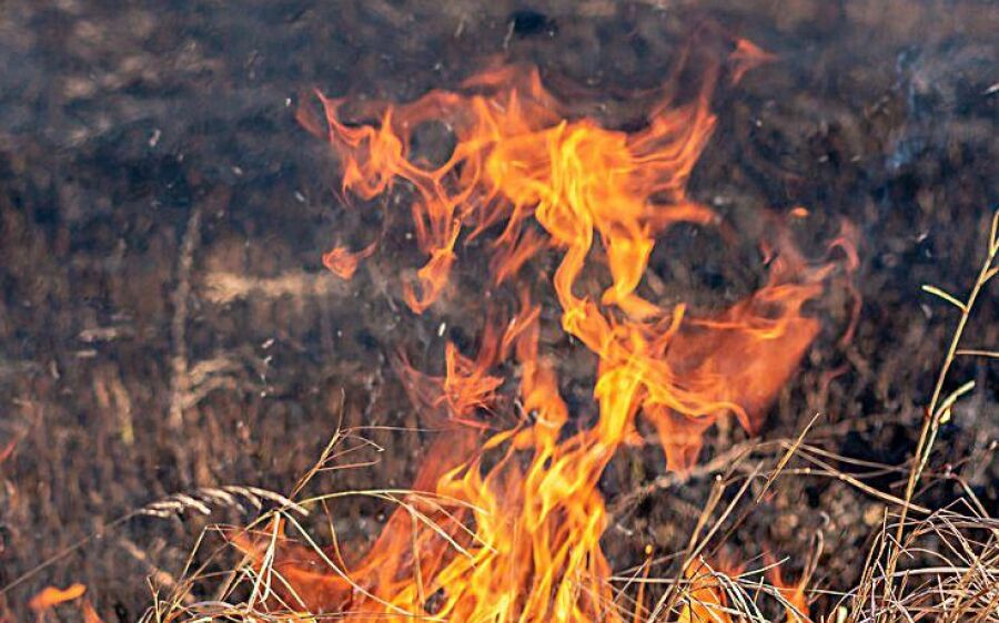 Período de proibição das queimadas começa em julho e acende alerta para risco de incêndios em Coxim 