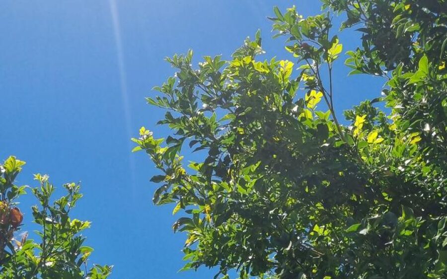 Quinta-feira será de calor e tempo firme em Coxim