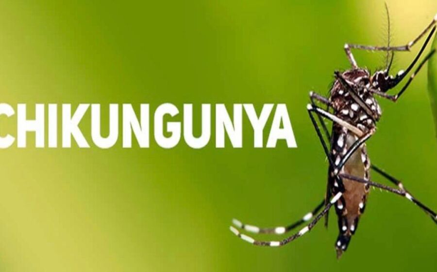 Chikungunya avança em Mato Grosso do Sul e Estado confirma 17 mortes pela doença em 2026