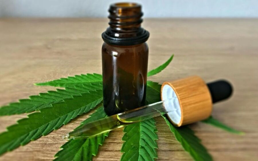 Anvisa autoriza Embrapa a iniciar pesquisas com cultivo de cannabis no Brasil