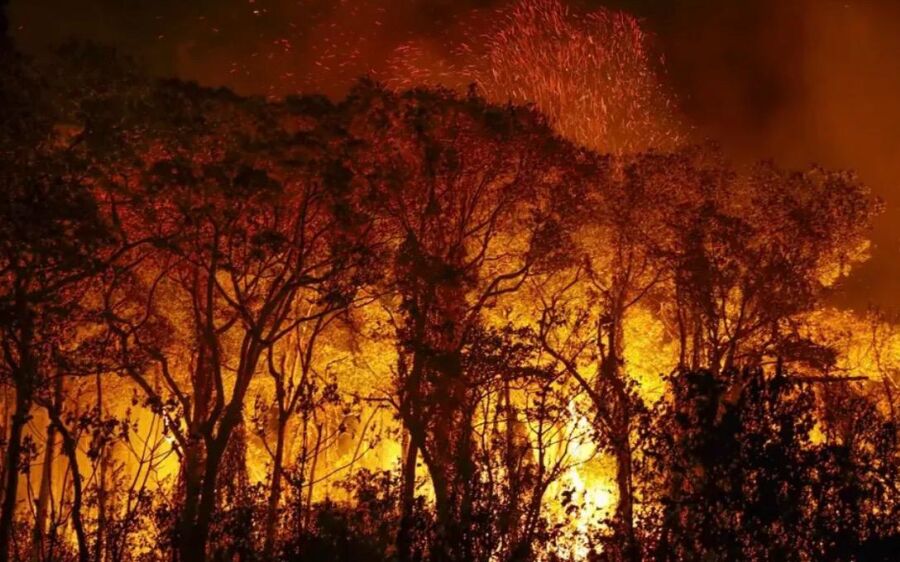 STF cobra plano contra queimadas no Pantanal e dá prazo de 10 dias para União e estados