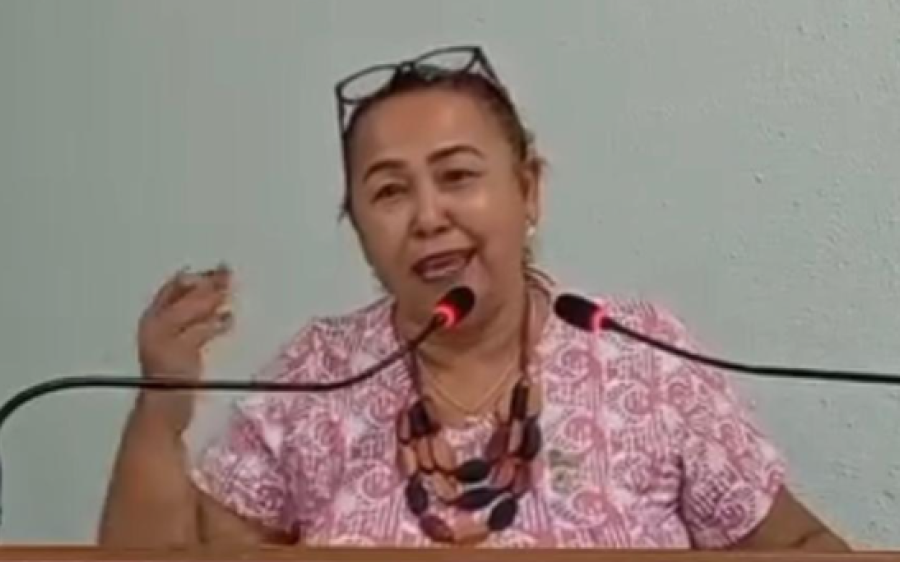 Vereadora Lúcia da AAVC reforça defesa de ações sociais, saúde e regularização fundiária 