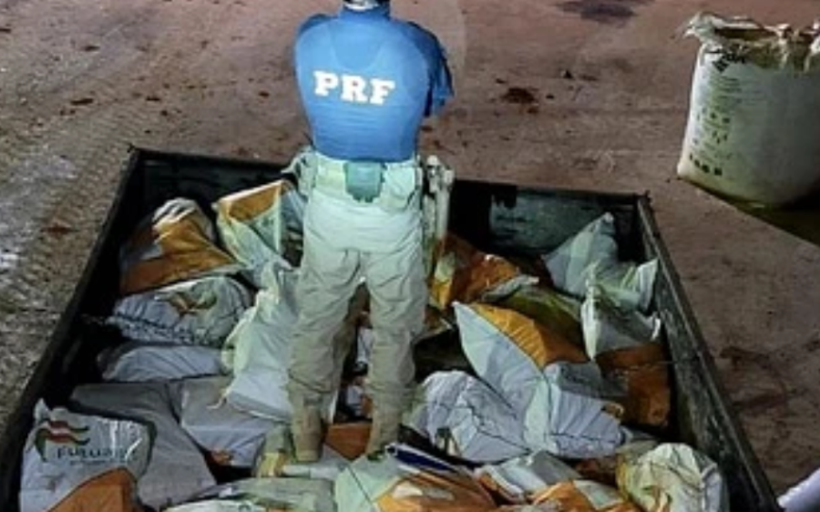 Polícia apreende 4 toneladas de maconha e skunk em caminhão parado na BR-463, em Ponta Porã

