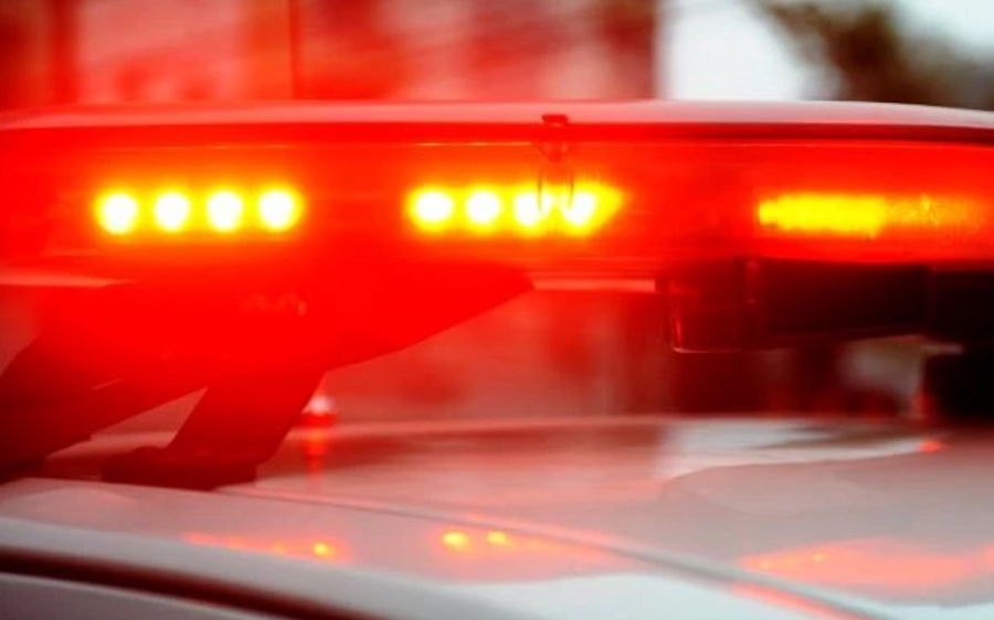 Mais de 21 quilos de maconha s&atilde;o apreendidos em encomendas postais em Campo Grande
