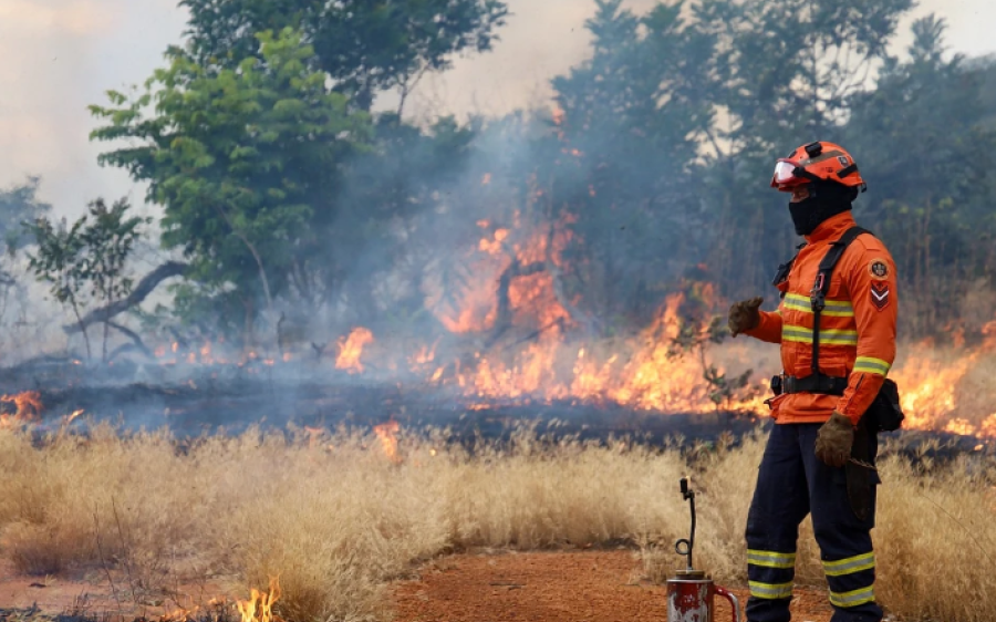 Bombeiros reforçam preparação para temporada de incêndios com queima prescrita no Parque Nascentes 