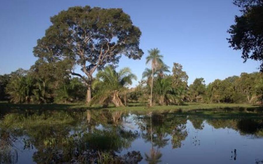 Águas voltam a avançar sobre o Pantanal 