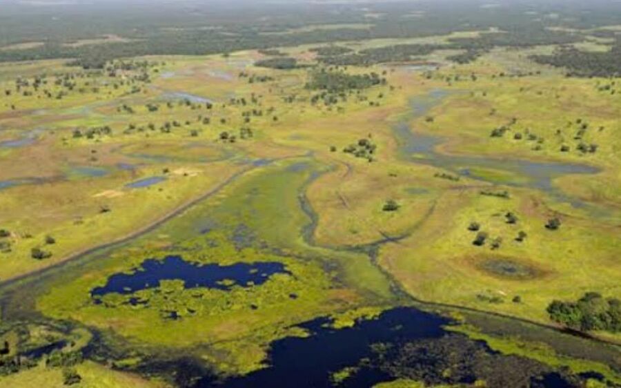 Pantanal segue abaixo da média histórica de água e MS lidera perdas no país