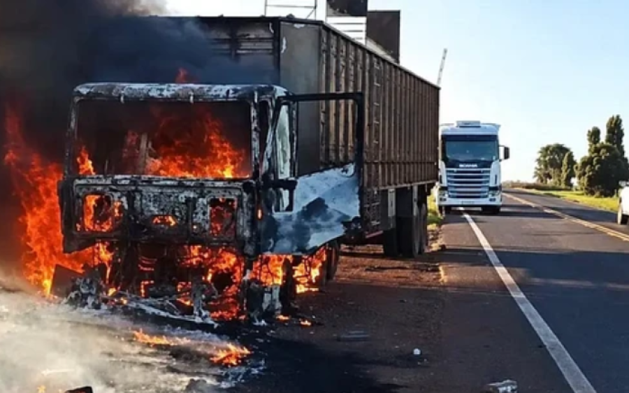 Carreta pega fogo na MS-395 e bois são soltos na rodovia
