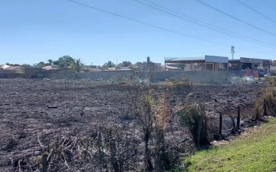 Incêndio de grandes proporções atinge pastagem às margens da BR-262 e mobiliza bombeiros 