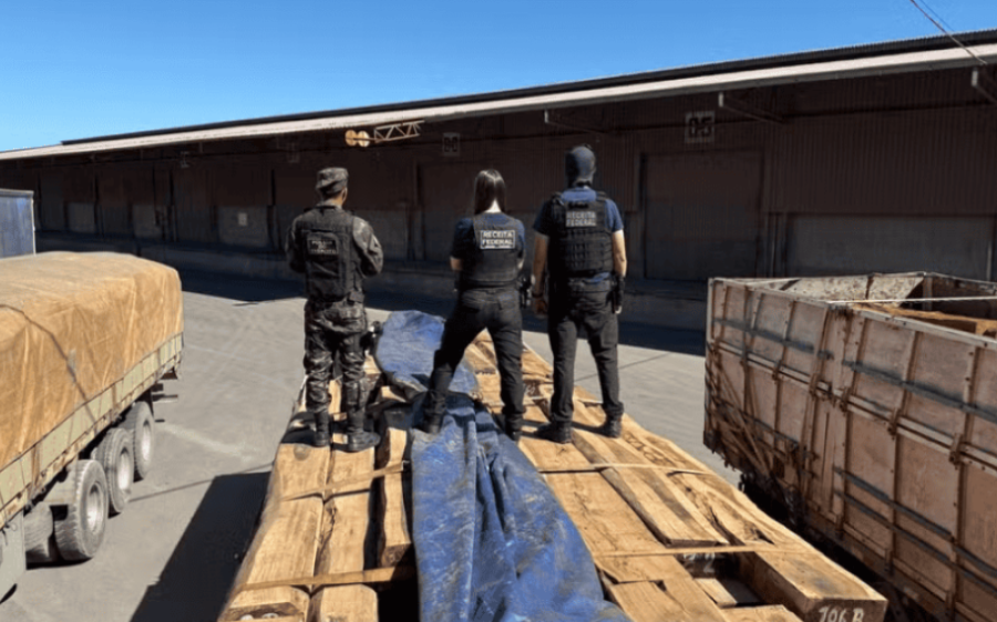 Receita Federal aguarda novo parecer para liberar madeira apreendida em Corumb&aacute;
