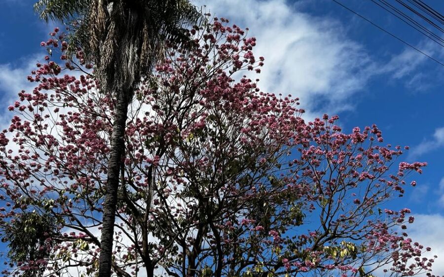 Quinta-feira será de sol forte e calor de até 34°C em Coxim
