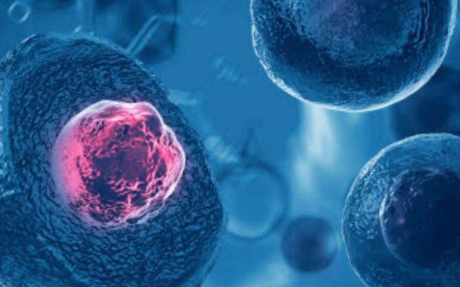 Dois novos casos de remissão do HIV reforçam esperança da ciência na busca pela cura