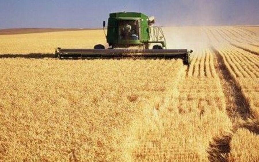 Estado se prepara para  nova supersafra de soja