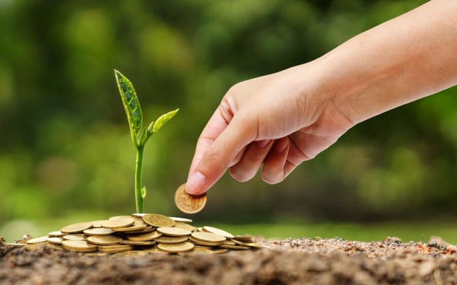 Municípios têm até 15 de março para pedir recursos do ICMS Ecológico