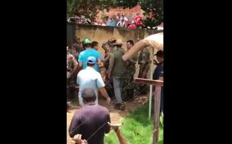 Onça é capturada em dourados em Pé de Jaca