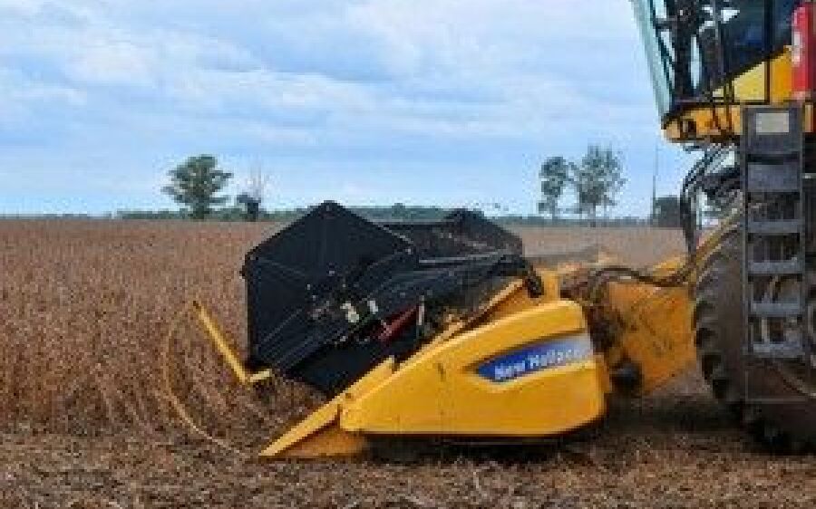 Com produção estimada em 8,7 mi/t soja começa a ser colhida em MS