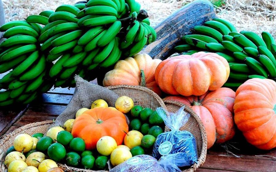 64 escolas ainda tem edital aberto para compra de merenda escolar