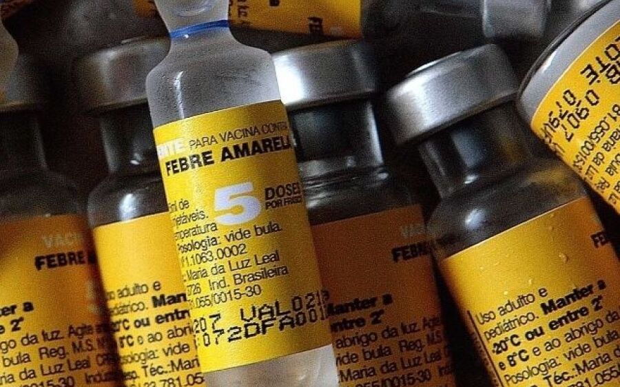Novo lote de vacinas contra febre amarela chega ao Brasil