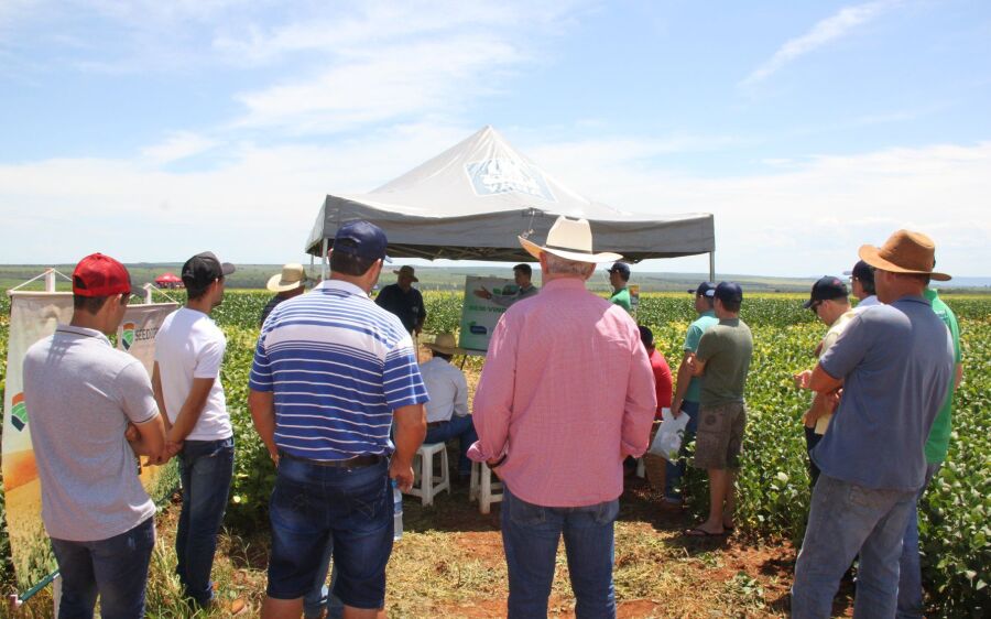 Fazenda Santa Rita sediou encontro técnico sobre cultivo de soja 