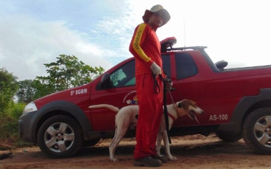 Subgrupamento de Bombeiros intensifica treinamento com cães de resgate