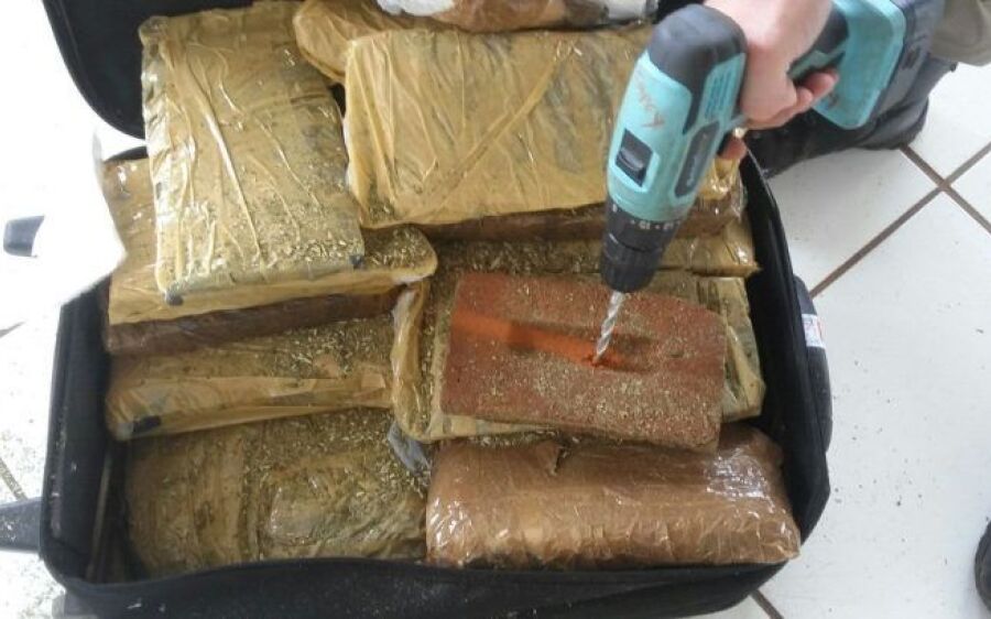 Mula que recebeu R$ 1 mil para levar maconha recebeu carga de erva para tereré