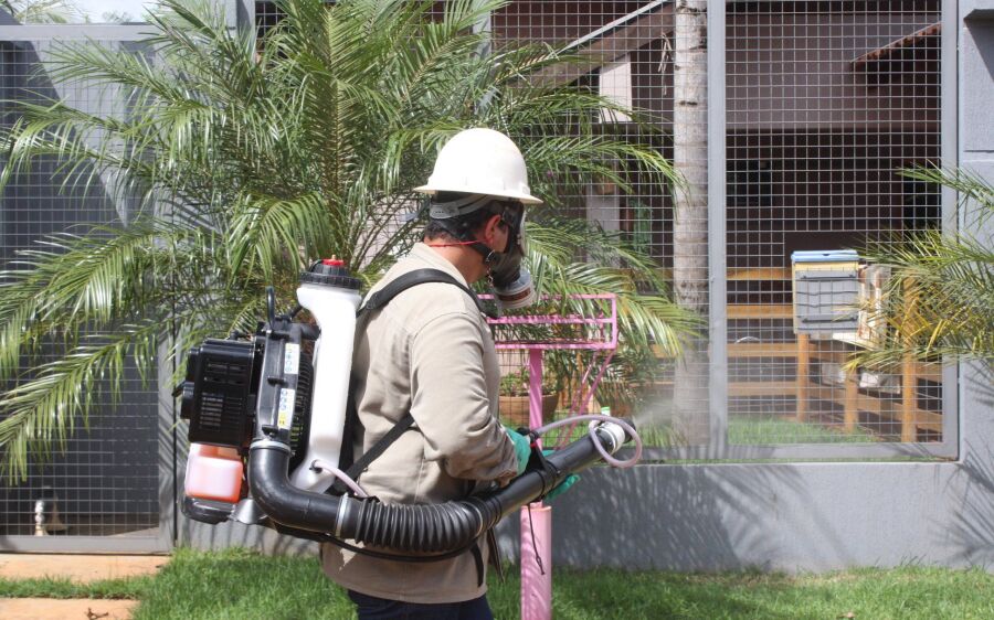 Combate ao mosquito transmissor das doenças chikungunya, zika e dengue é intensificado