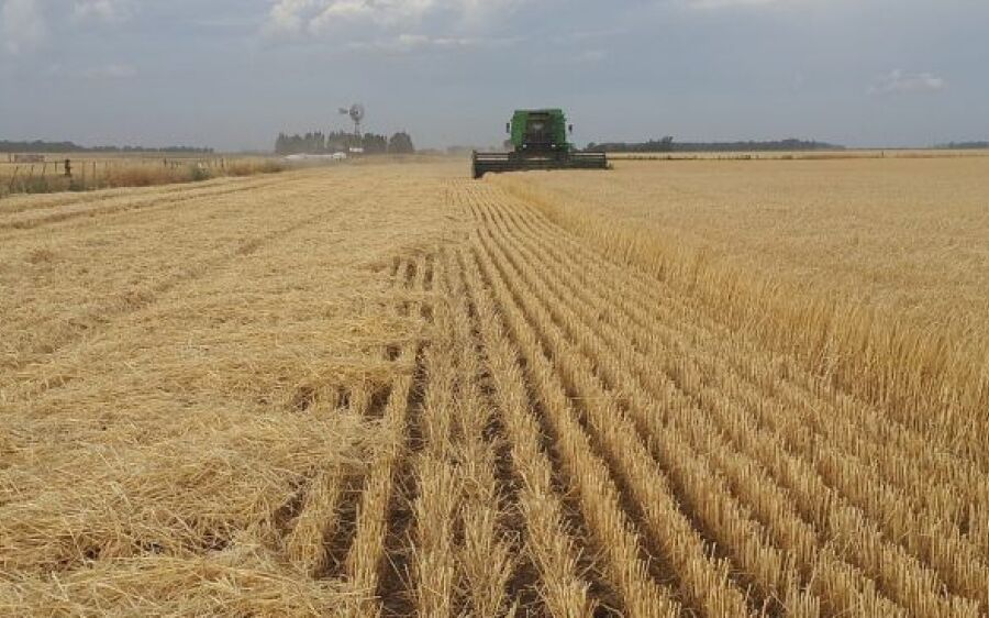 Câmara aprova medida que prorroga adesão ao Refis Rural