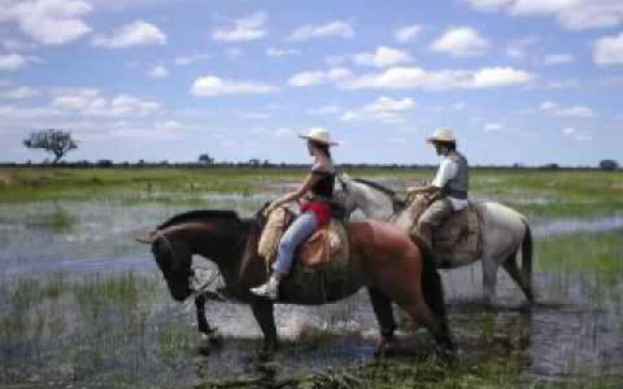 Rio Verde - Pantanal