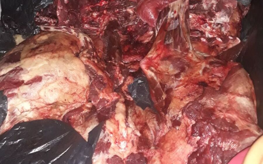 Quatro são presos após furtar e carnear vaca de fazenda em Coxim