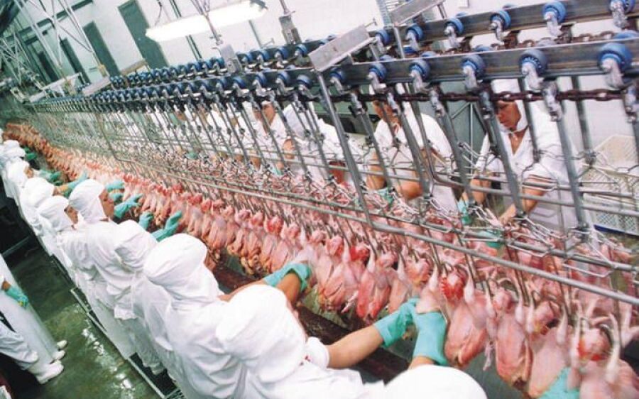 UE proíbe importação da carne de frango de 20 frigoríficos brasileiros