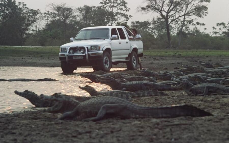 Rota Cerrado-Pantanal vai  receber FAM TRIP em outubro