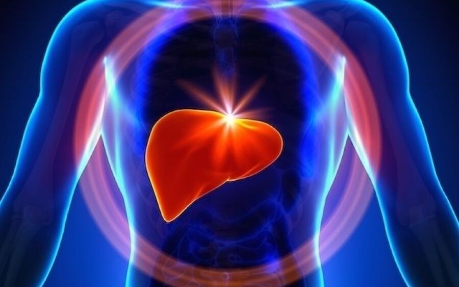 Hepatite: o número de infecções não para de crescer no Brasil e no mundo