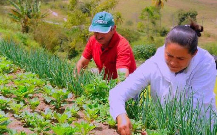 Agricultores familiares tem até dia 13 para enviar edital da merenda escolar